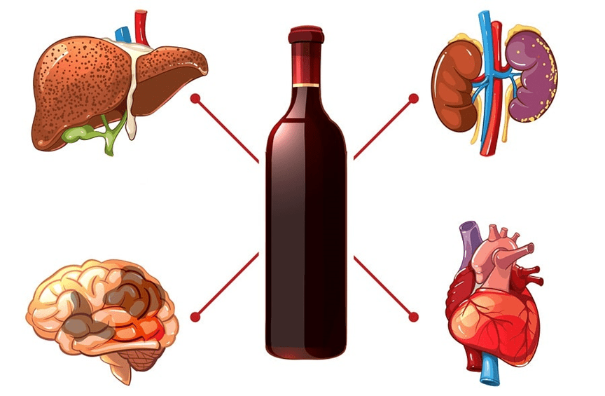 Статья 2 (3)